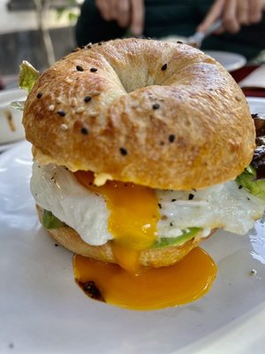 niddo by null niddo by null