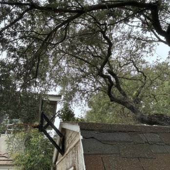 Luis’s Tree Care - Tree Services Near Me - Atascadero, California Luis’s Tree Care - Tree Services Near Me - Atascadero, California