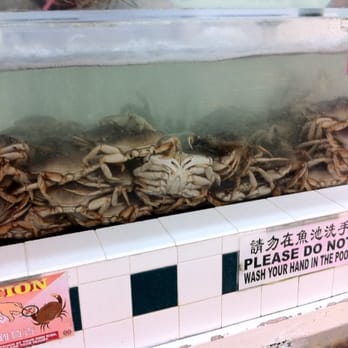 99 Ranch Market - Live Dungeness Crab - Seafood Markets Near Me - Gardena, California 99 Ranch Market - Live Dungeness Crab - Seafood Markets Near Me - Gardena, California