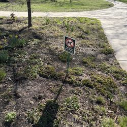 Maple Park - Dog signs