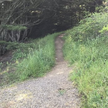 Sweeney Ridge - The beginning of the Notch trail - Parks Near Me - San Bruno, California