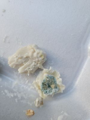 Mama's Toasted Cheeser