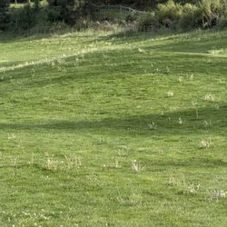 Bear Mountain Ranch
