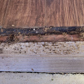 Already A Better Choice - Subterranean termites damages from inside the floor. - Pest Control Near Me - El Monte, California Already A Better Choice - Subterranean termites damages from inside the floor. - Pest Control Near Me - El Monte, California