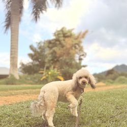 Country Comforts - She is always so great about taking photos for me too