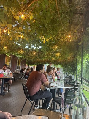 Stonecat: Regional Cuisine & Bar by null