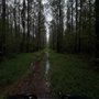 Photo of Stoney Creek Park