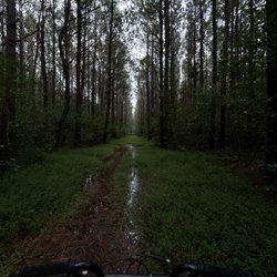 Stoney Creek Park - Stoney creek park trails