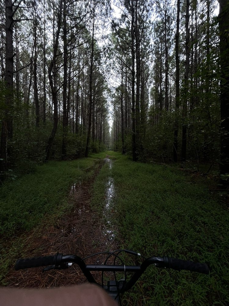Stoney Creek Park Image