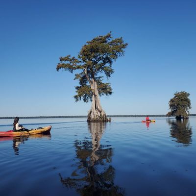 Adventure Kayak & Stand Up Paddleboard by null