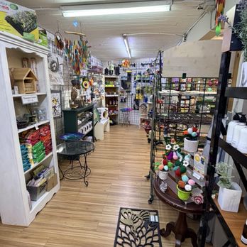Bellevue Nursery - interior - Nurseries & Gardening Near Me - Bellevue, Washington