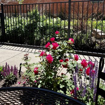 Boulder Dushanbe Teahouse - Outdoor Patio - Tea Rooms Near Me - Boulder, Colorado Boulder Dushanbe Teahouse - Outdoor Patio - Tea Rooms Near Me - Boulder, Colorado