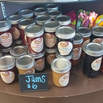 Dirtbag Tea Cafe - Cafes Near Me - Orangevale, California