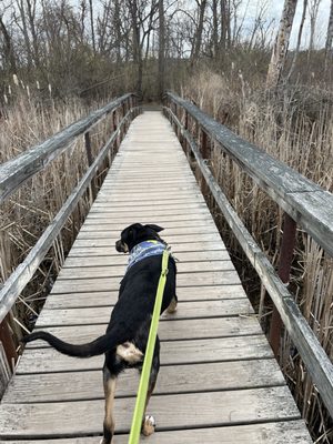 Saugerties Lighthouse by null