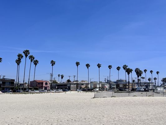 Belmont Shore by null