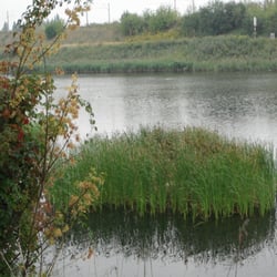 Staw Płaszowski
