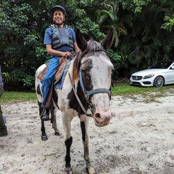 A&A Adventure Horse Trail Rides