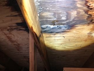 Slide of Christian Brothers Roofing