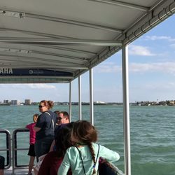 Winter's Dolphin Tale Adventure
