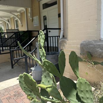 Palatka Amtrak Station - Cactus at pslatka station - Train Stations Near Me - Palatka, Florida