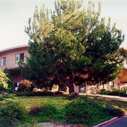 The Children's Hope Center