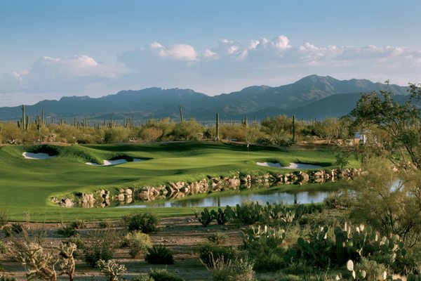 The Ritz-Carlton, Dove Mountain by null