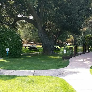 Rideau Vineyard - Sat afternoon - Wine Tasting Room Near Me - Solvang, California Rideau Vineyard - Sat afternoon - Wine Tasting Room Near Me - Solvang, California