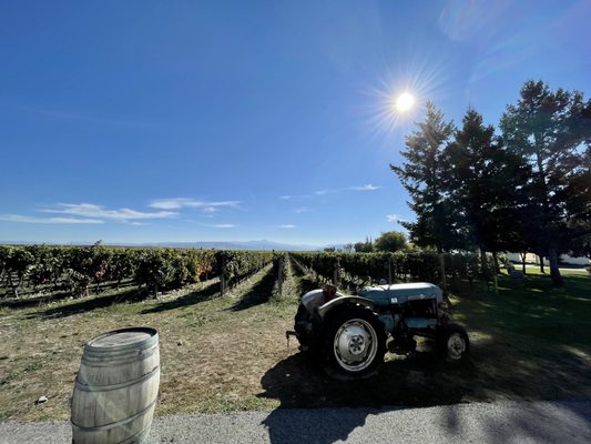 Rioja Wine Tours by null