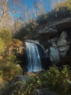 Looking Glass Falls by null