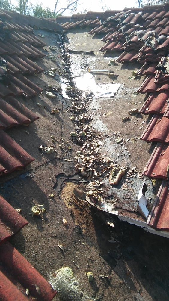 Slide of PDG Roofing