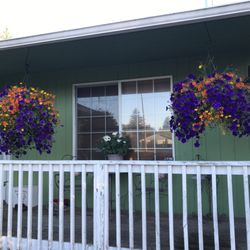Jason's Greenhouse