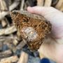 Photo of Mesmerizing Firewood