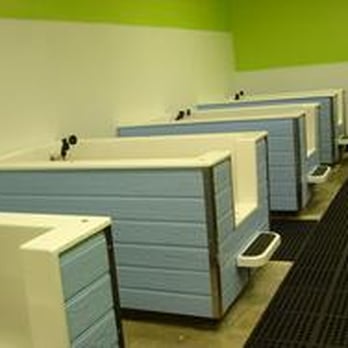 BlackPaw - Pet Groomers Near Me - Louisville, Colorado BlackPaw - Pet Groomers Near Me - Louisville, Colorado