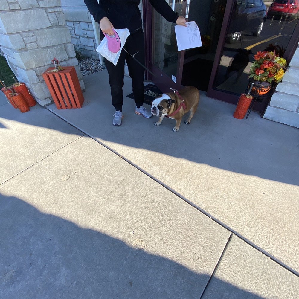 Countryside Veterinary Services of Fox Valley - Here comes my Ethel Mar after her apnt. - Veterinarians Near Me - Appleton, Wisconsin