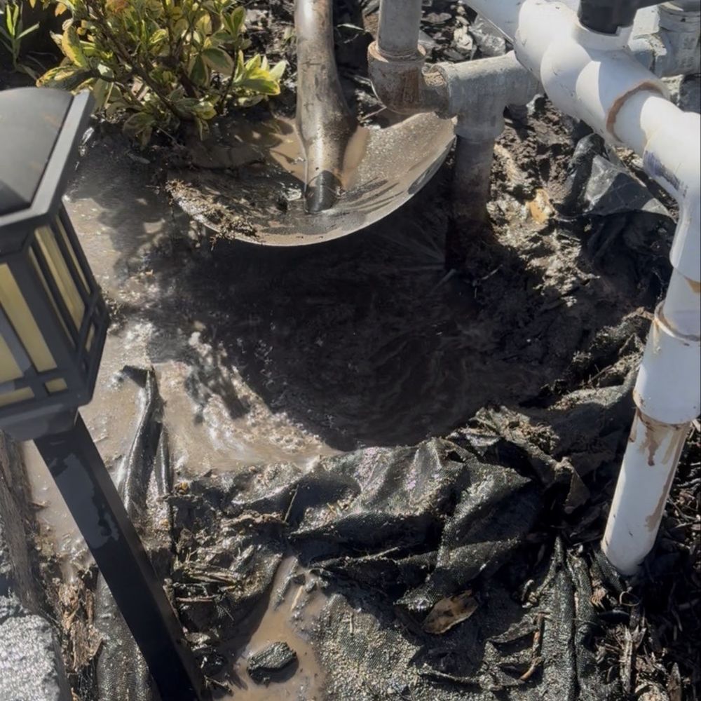Alvarez Plumbing & Rooter - Plumbing Near Me