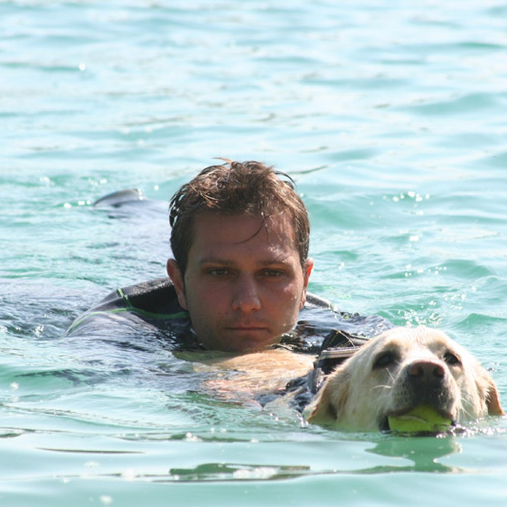 A report from the Brescia Renal COVID Task Force on the clinical  characteristics and short-term outcome of hemodialysis patients with  SARS-CoV-2 infection - Kidney International, image size:1000x1000