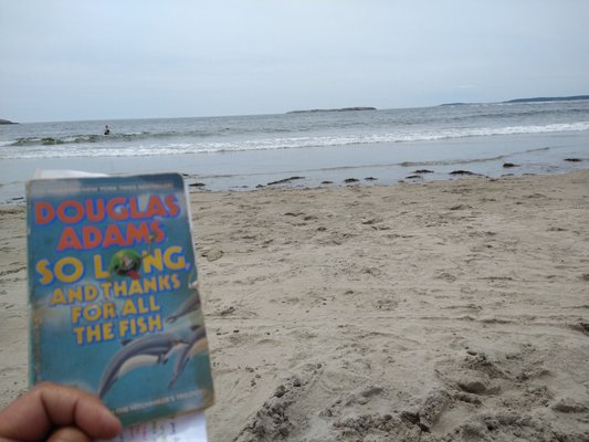 Popham Beach State Park by null