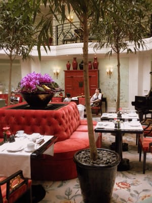 La Bauhinia by null