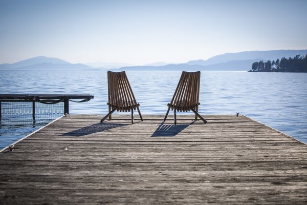 The Sitting Duck by null