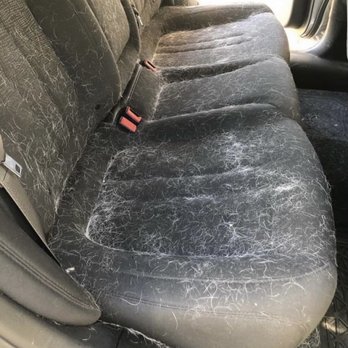 Bjorn Detailing - hairy dog residue - Auto Detailing Near Me