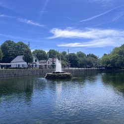 Swan Pond - Swan pond