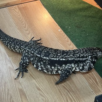 Exotics & Aquatics - Reptile Shops Near Me - Bayonne, New Jersey