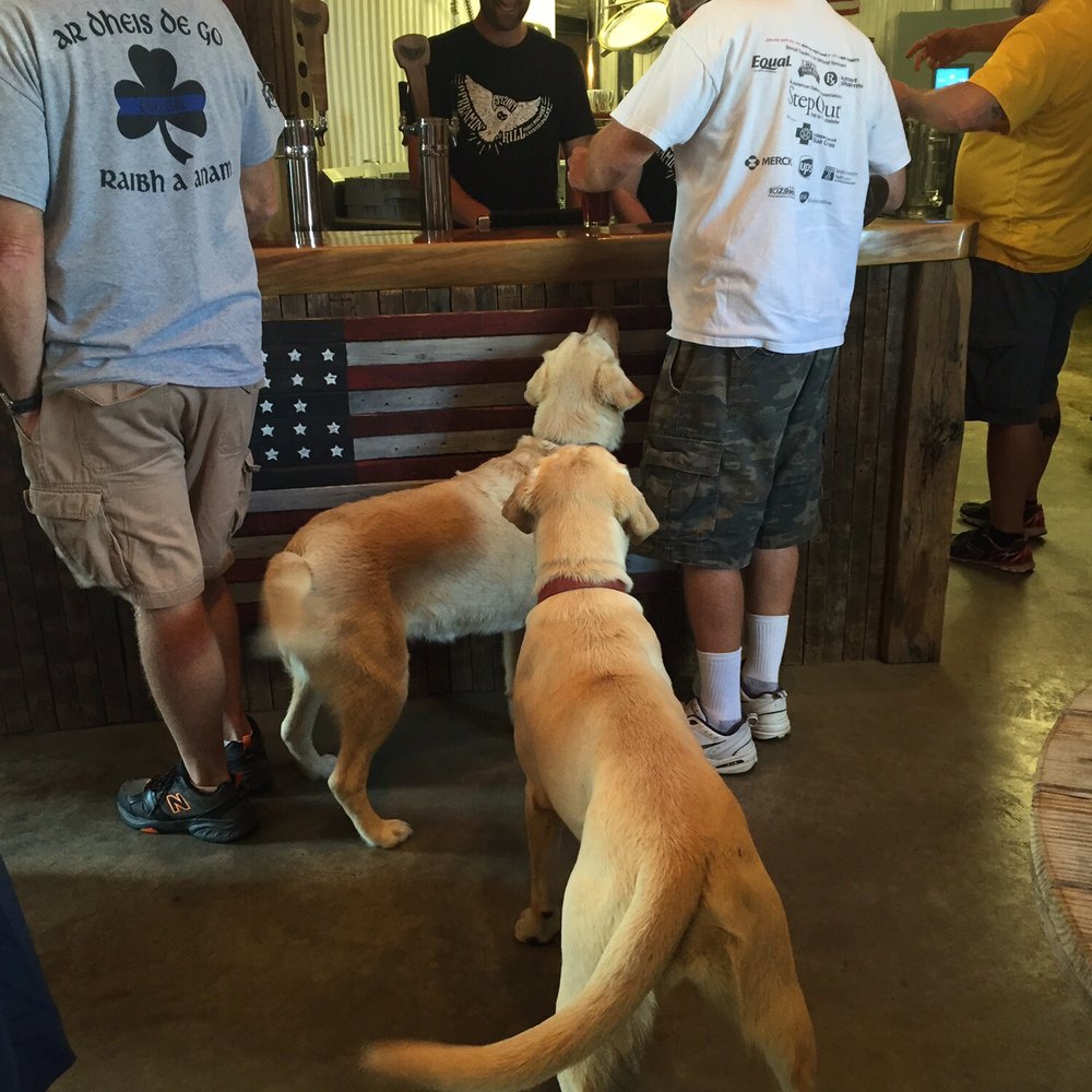 Screamin' Hill Brewery - Gotta love these pups - Breweries Near Me - Cream Ridge, New Jersey