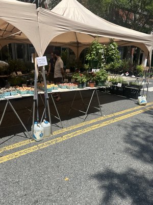 FRESHFARM Downtown Silver Spring Market by null