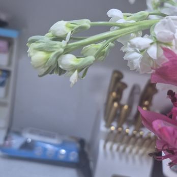Rosebud Studio Florist - Florists Near Me - Jersey City, New Jersey Rosebud Studio Florist - Florists Near Me - Jersey City, New Jersey