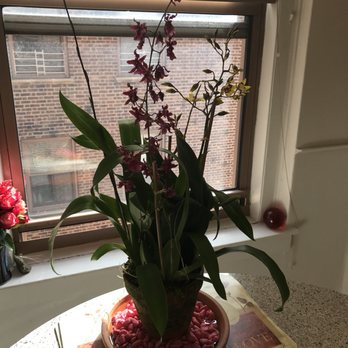 Foliage Garden - Nurseries & Gardening Near Me - New York, New York