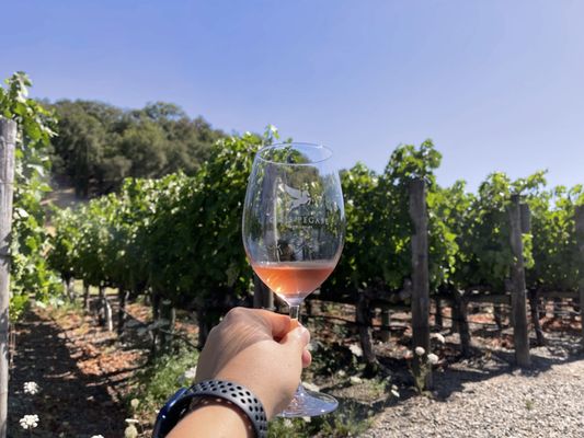 Clos Pegase Winery & Tasting Room by null