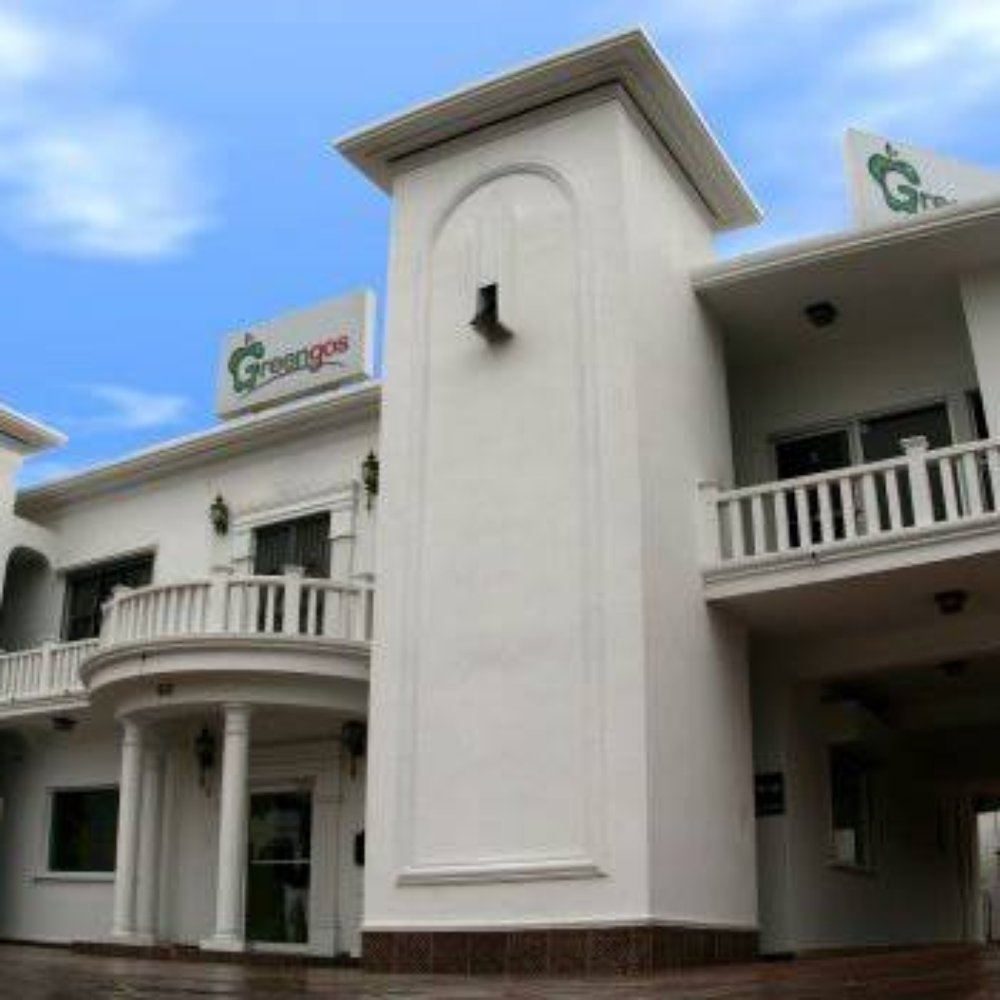 Greengos - Cosmetic Dentists Near Me - Matamoros, TAM