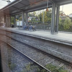 Bahnhof Tutzing - Fellow travelers