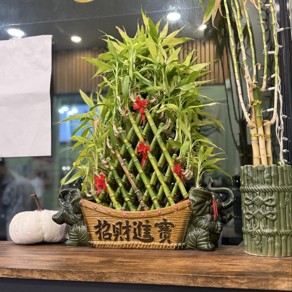 Tea Champ - Bubble Tea Near Me - Hacienda Heights, California Tea Champ - Bubble Tea Near Me - Hacienda Heights, California